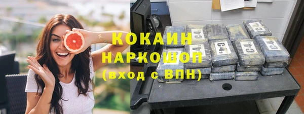 стафф Богданович