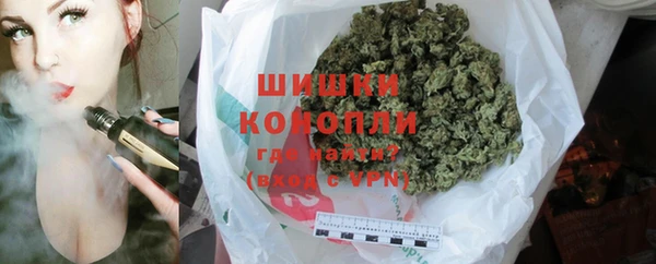 стафф Богданович