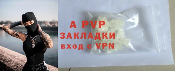 PSILOCYBIN Белоозёрский