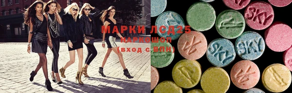 стафф Богданович