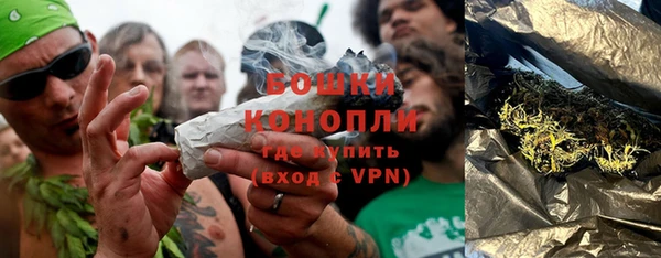 ПСИЛОЦИБИНОВЫЕ ГРИБЫ Белокуриха