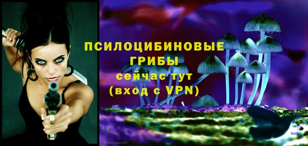 гидропоника Беломорск