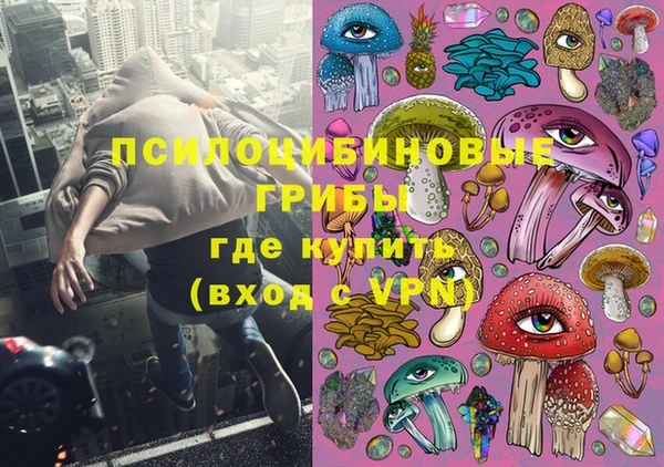 ешки Богородск