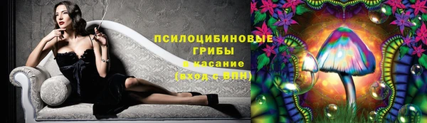 PSILOCYBIN Белоозёрский