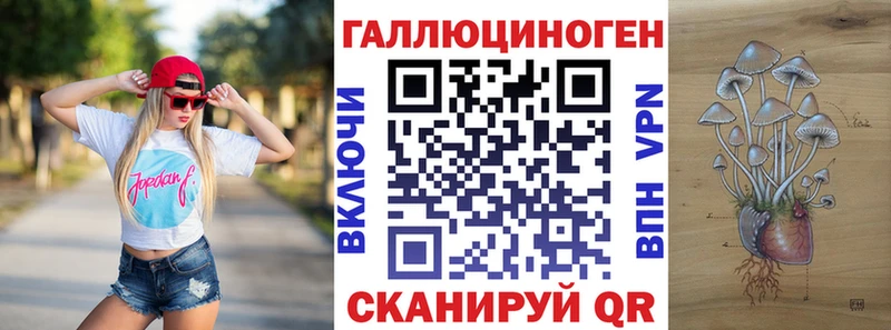 Галлюциногенные грибы MAGIC MUSHROOMS  Богородицк 